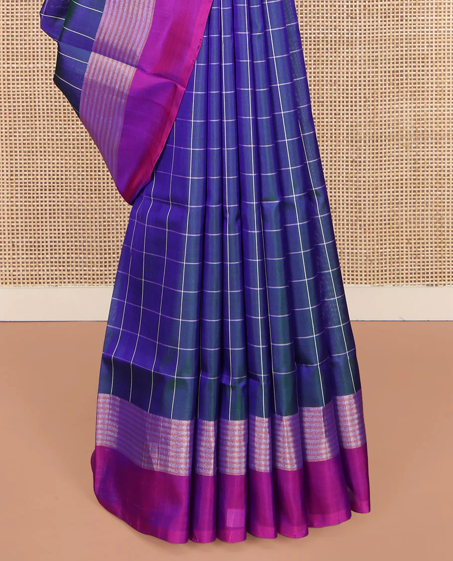 Blue Uppada Silk Saree, Beautified with Checked Designs All Over Its Body, Complemented by a Contrast Border of Stripes, Plain Pallu, and Paired with a Contrast Blouse - Image 4