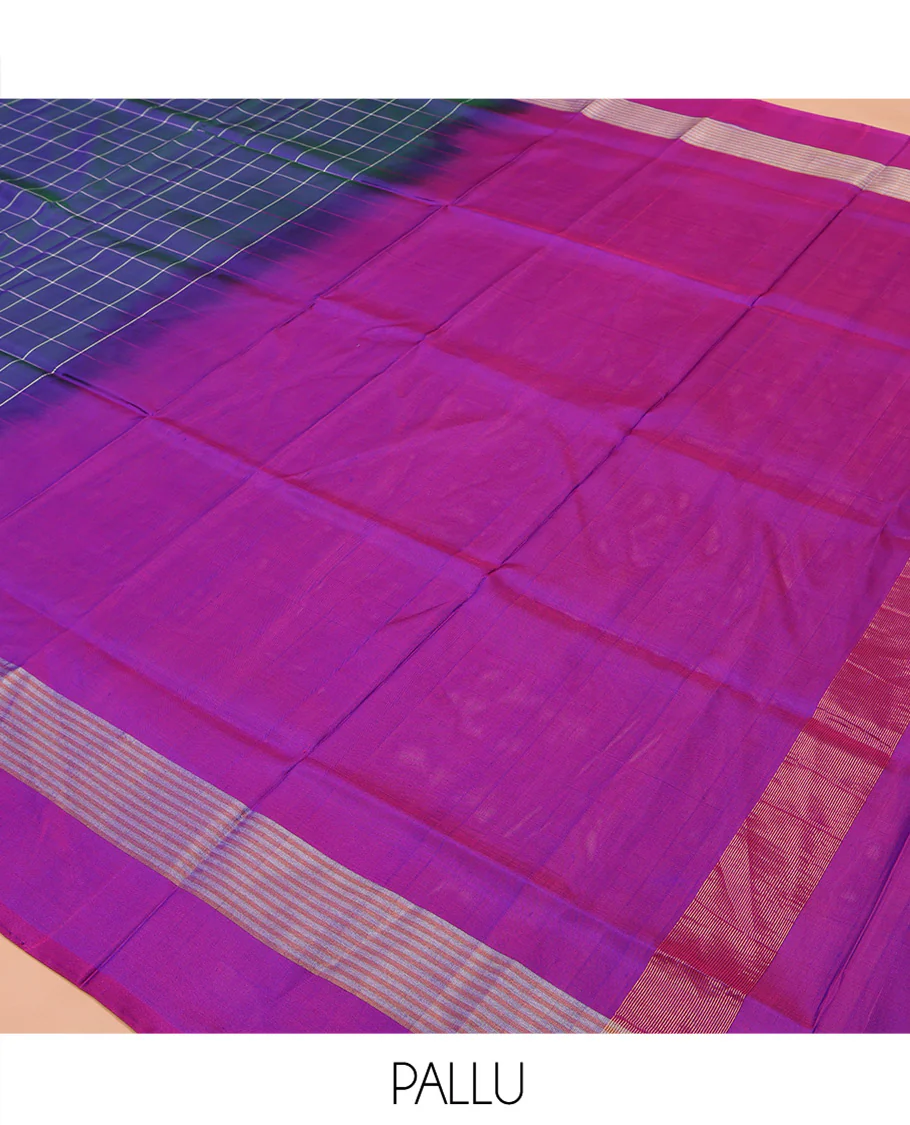 Blue Uppada Silk Saree, Beautified with Checked Designs All Over Its Body, Complemented by a Contrast Border of Stripes, Plain Pallu, and Paired with a Contrast Blouse - Image 5