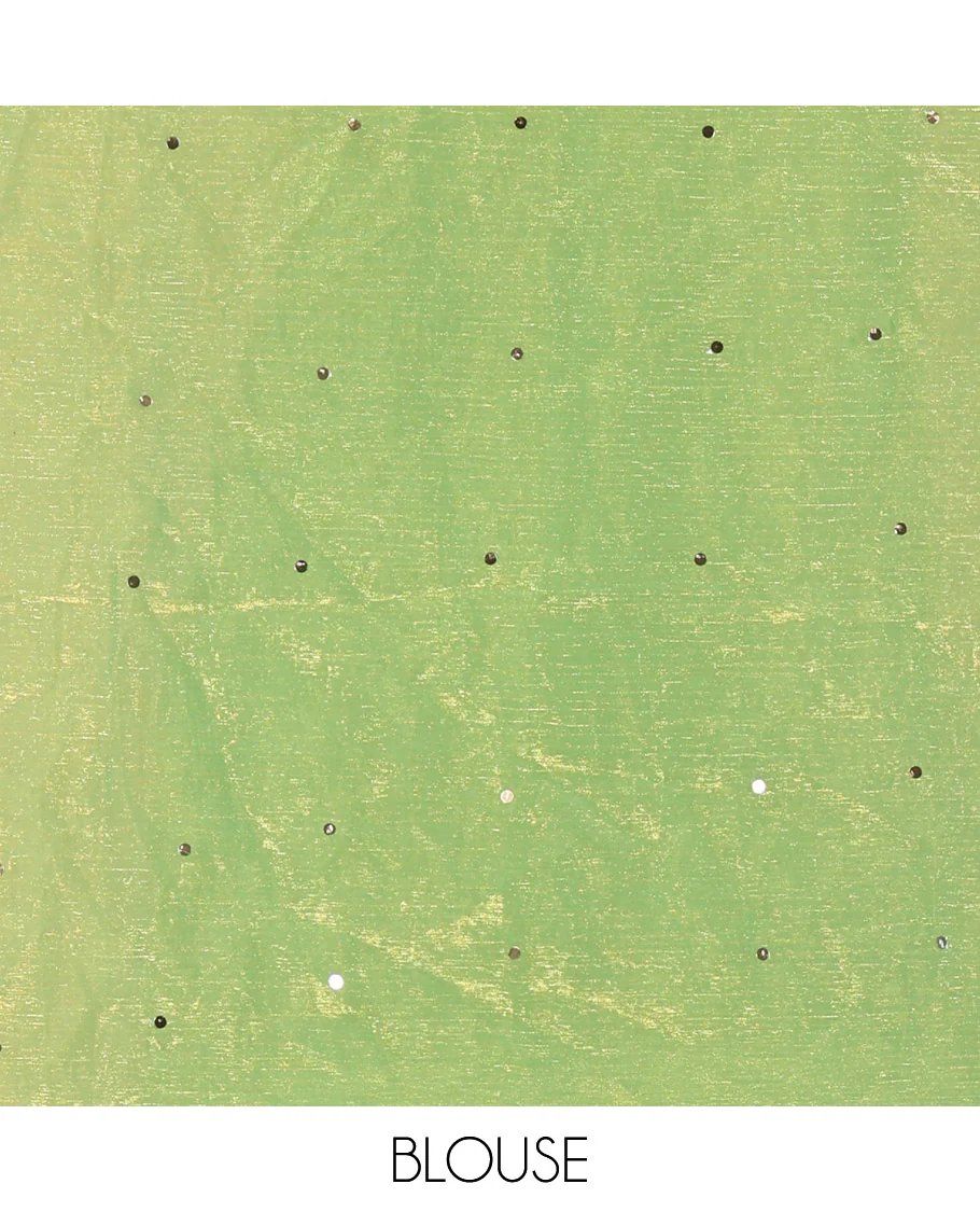 Borderless Lime Green Fendy Chiffon Saree, Gleamed Up with Sequin Work on Its Body, Highlighted by a Self-Pallu of Sequin Work, and Paired with a Matching Blouse - Image 3