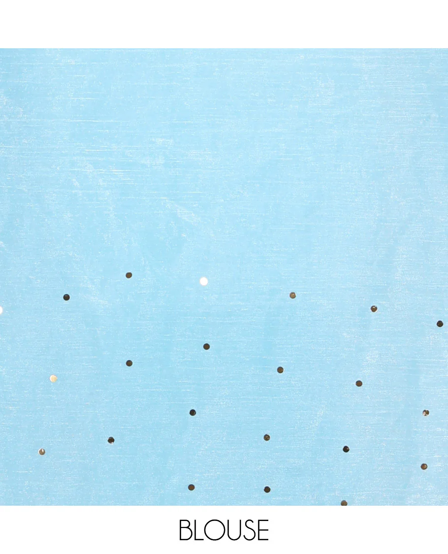 Borderless Sky Blue Fendy Chiffon Saree, Gleamed Up with Sequin Work on Its Body, Highlighted by a Self-Pallu of Sequin Work, and Paired with a Matching Blouse - Image 3