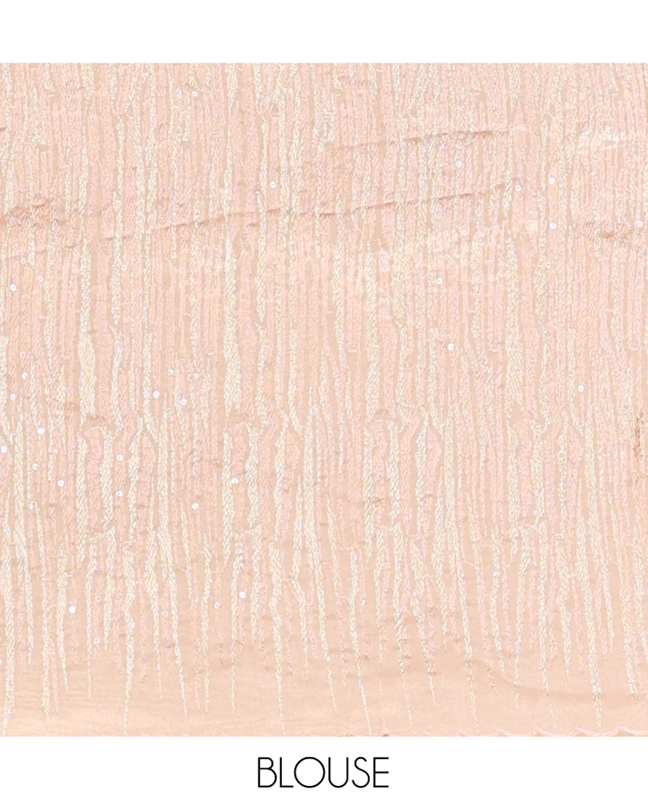 Champagne Organza Saree, Meticulously Crafted with Vine Embroidery, Scallop Embroidery Border, and a Matching Blouse - Image 5