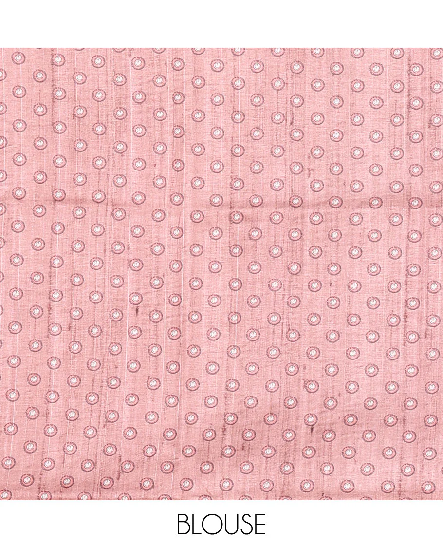 Chikku and Onion Pink Plain Semi-Tussar Saree Accentuated with a Contrast Temple Kalamkari Floral-Printed Border, Featuring a Pallu Adorned with Kalamkari Peacock Print, Paired with a Printed Blouse - Image 4
