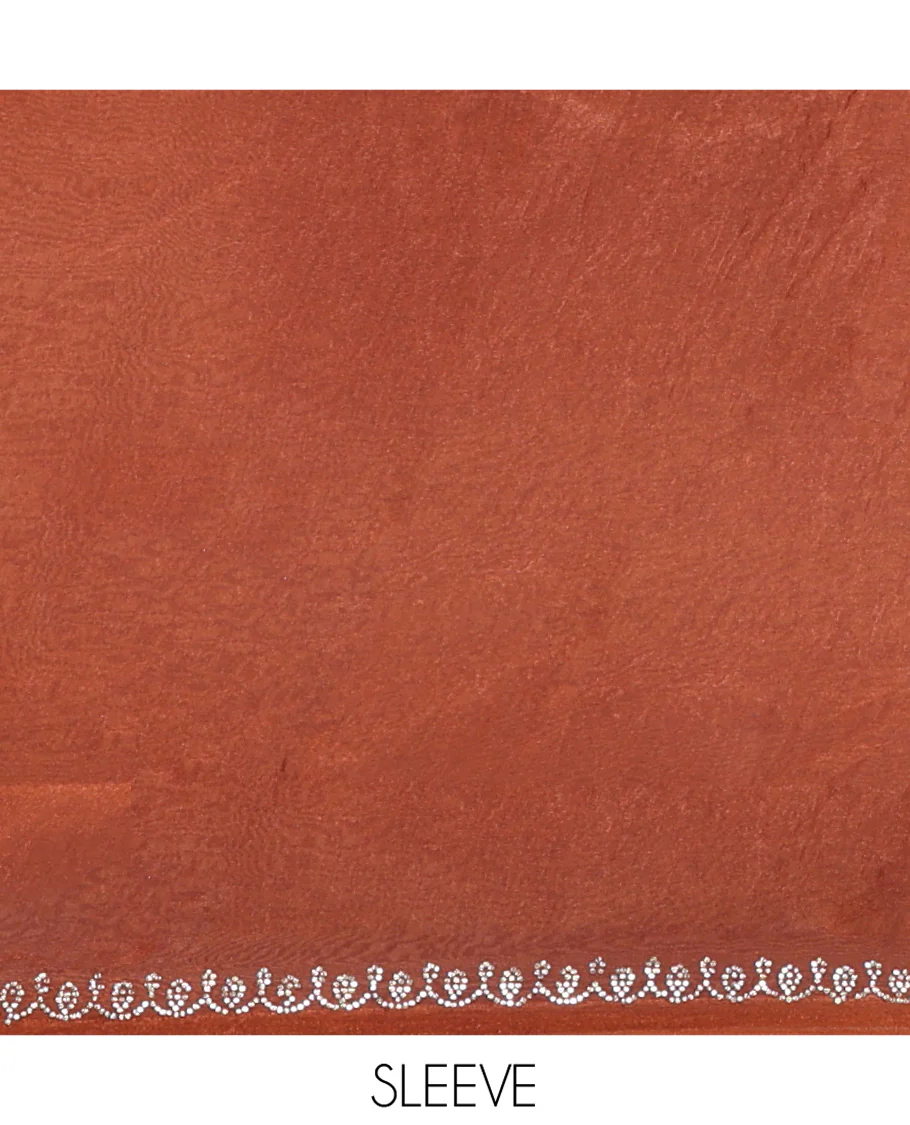 Maroon Fendy Chiffon Saree, Highlighted by Swarovski Stone Work All Over the Body, Gleaming Swarovski Stone Work Border, a Self-Pallu, and Paired with a Fancy Designer Blouse - Image 3