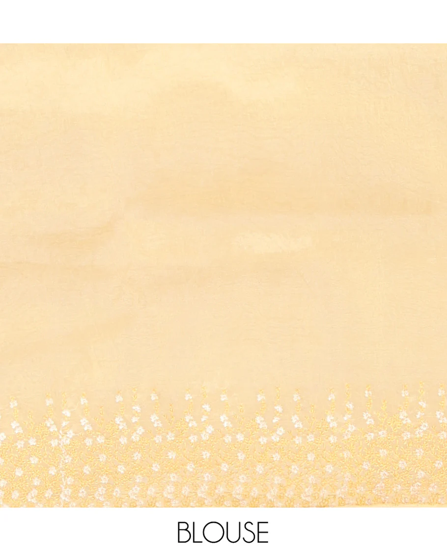 Pale Yellow Organza Saree, Detailed with Floral Embroidery, Scallop Floral Embroidery Border, and a Matching Blouse - Image 5