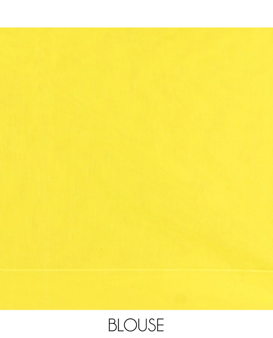 Yellow and Green Coimbatore Cotton Saree, Subtly Sparkled with Stripes on Its Body, Plain Border, Sparsely Sparkled Pallu of Floral Creeper Designs, and Paired with a Matching Blouse - Image 4